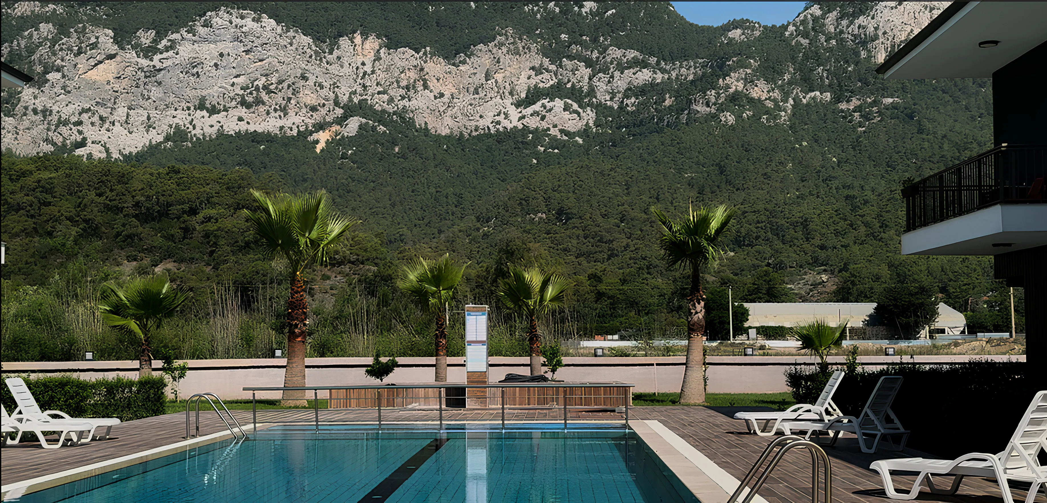 Daytime pool area surrounded by palm trees in Göynük Kemer